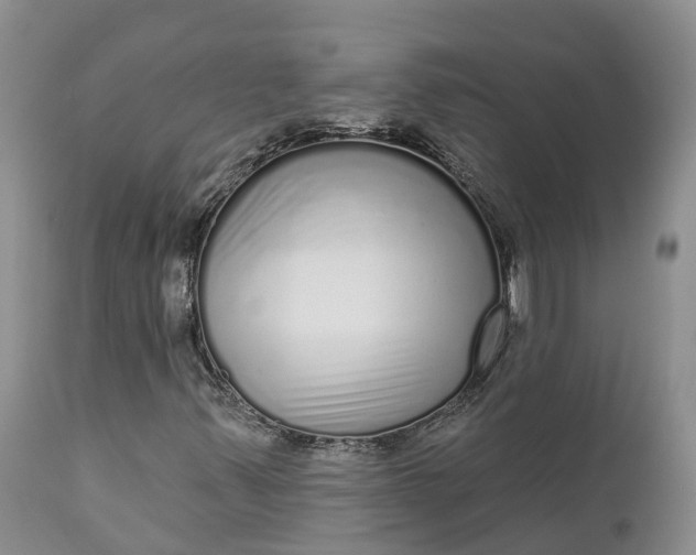 X0000111051347200907091624