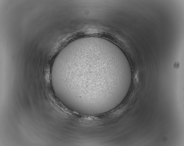 X0000111051348200907091624