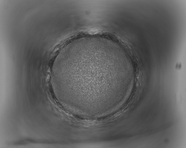 X0000111051349200907091624