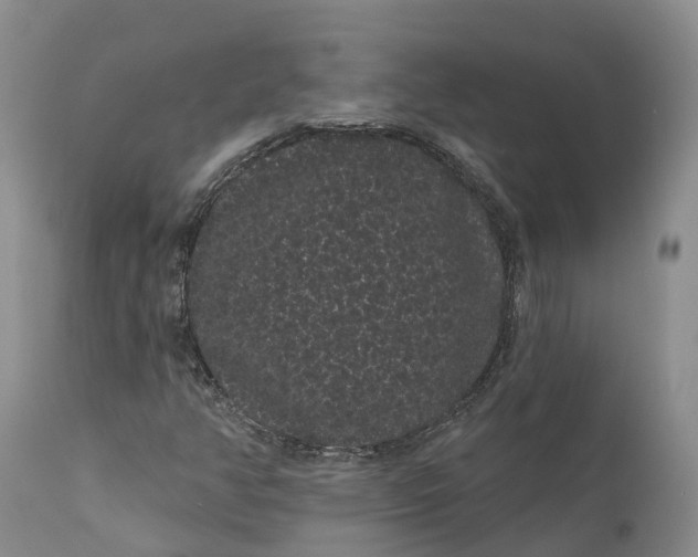 X0000111051350200907091624