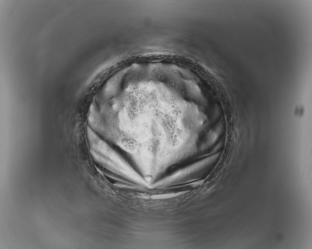 X0000111051351200907091624