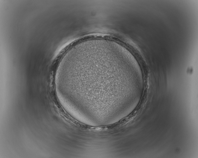 X0000111051352200907091624