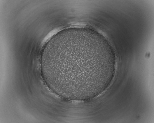 X0000111051354200907091624