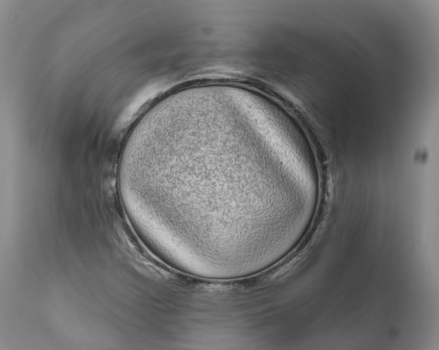 X0000111051355200907091624