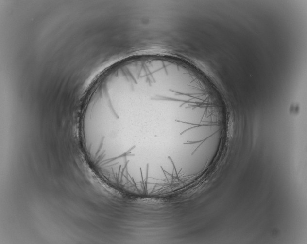 X0000111051356200907091624