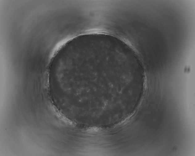 X0000111051358200907091624