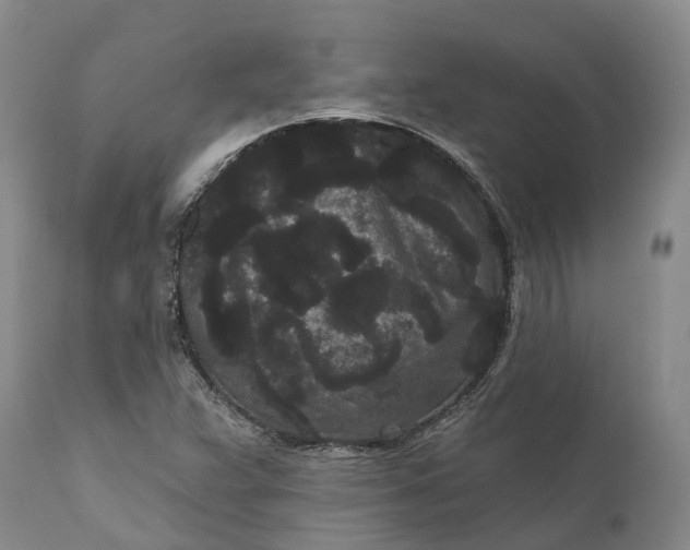 X0000111051359200907091624