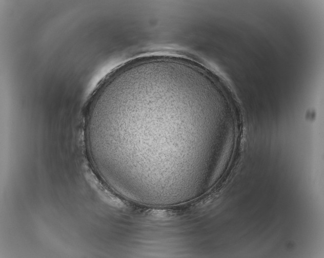 X0000111051360200907091624