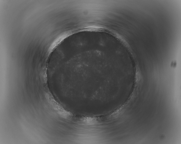 X0000111051362200907091624