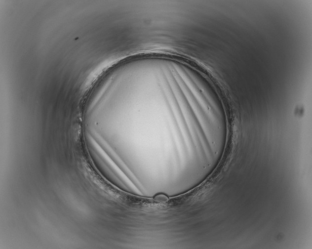 X0000111051363200907091623