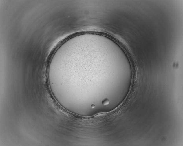 X0000111051364200907091623