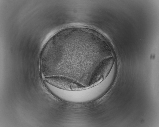 X0000111051365200907091623