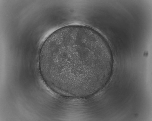 X0000111051367200907091623