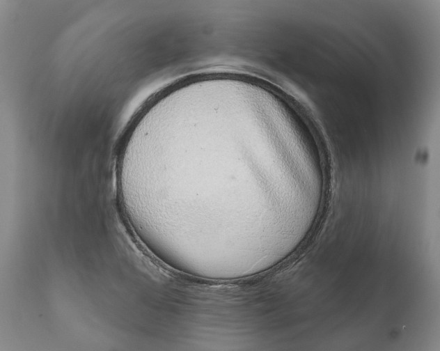 X0000111051368200907091623