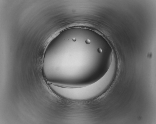 X0000111051369200907091623