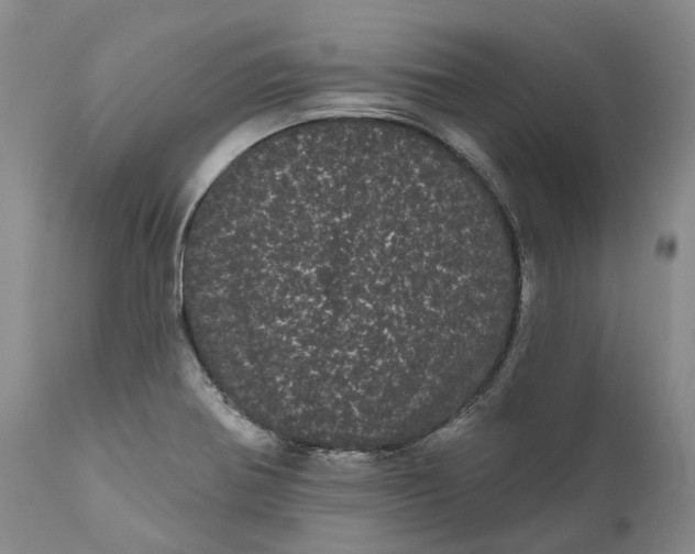 X0000111051370200907091623