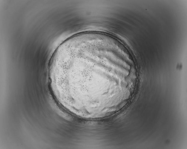 X0000111051371200907091623