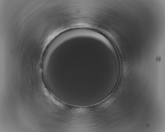 X0000111051373200907091623