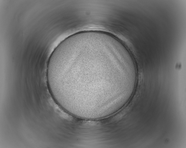 X0000111051374200907091623