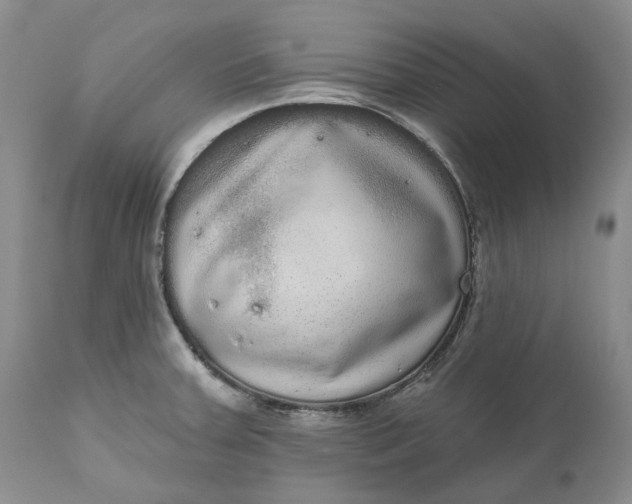 X0000111051379200907091623