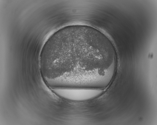 X0000111051380200907091623