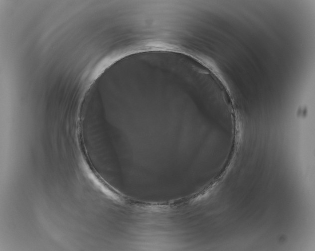 X0000111051381200907091623