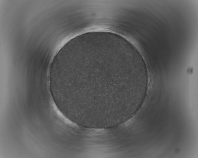 X0000111051382200907091623