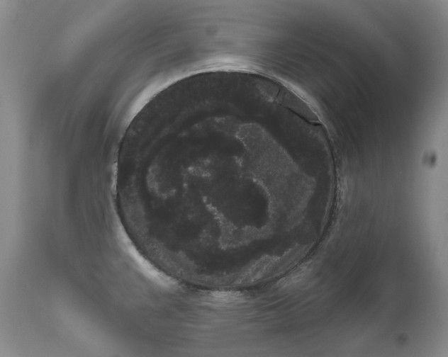 X0000111051383200907091623