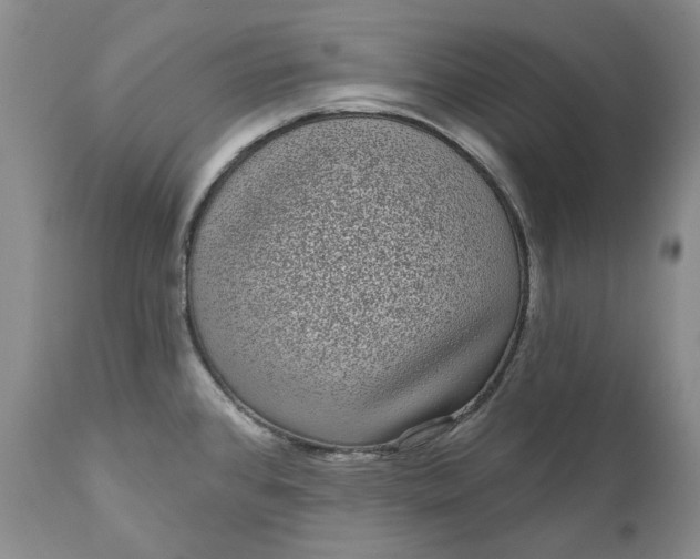 X0000111051384200907091623