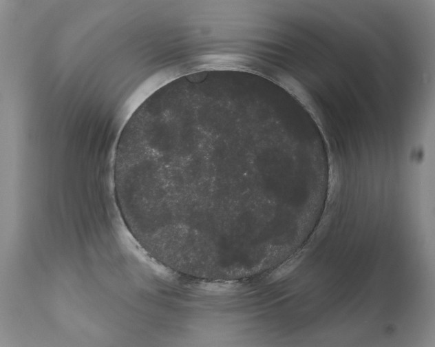 X0000111051386200907091623