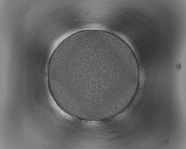 X0000111051387200907091623