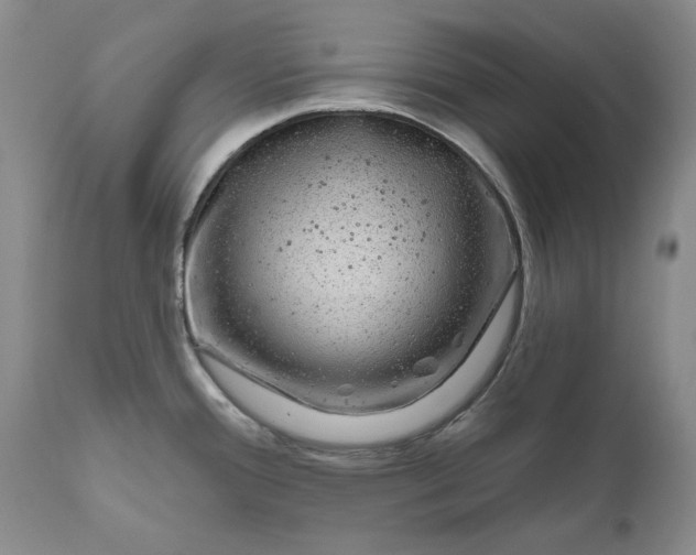 X0000111051388200907091623