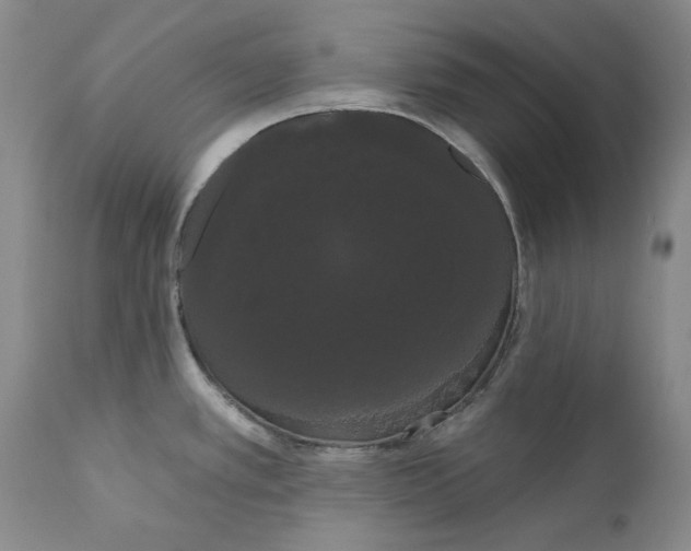 X0000111051389200907091623