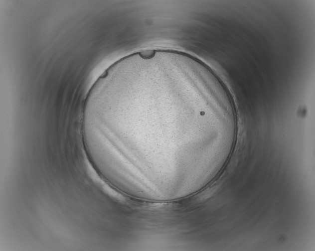 X0000111051390200907091623