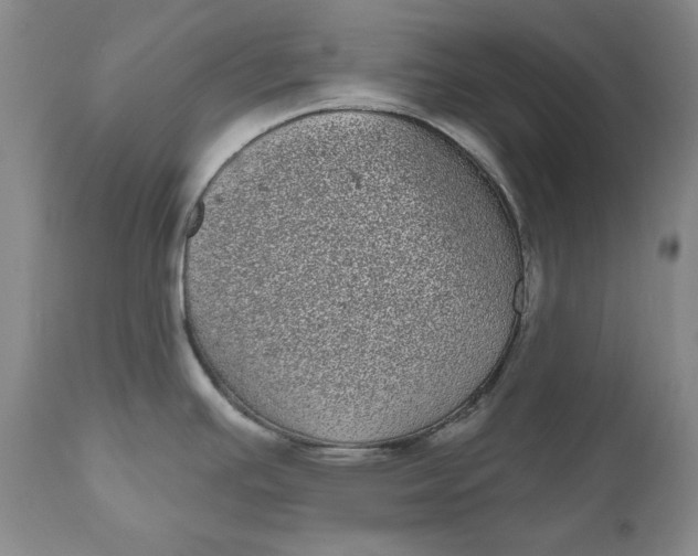 X0000111051391200907091623