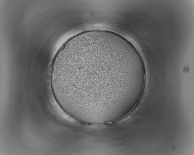 X0000111051392200907091623