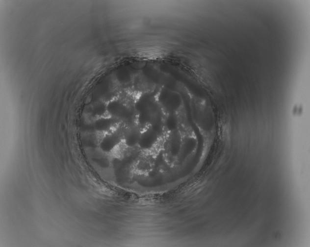 X0000111051393200907091622