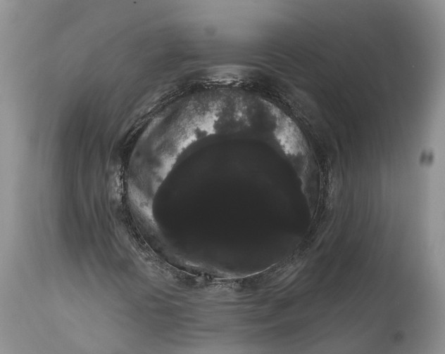 X0000111051394200907091622