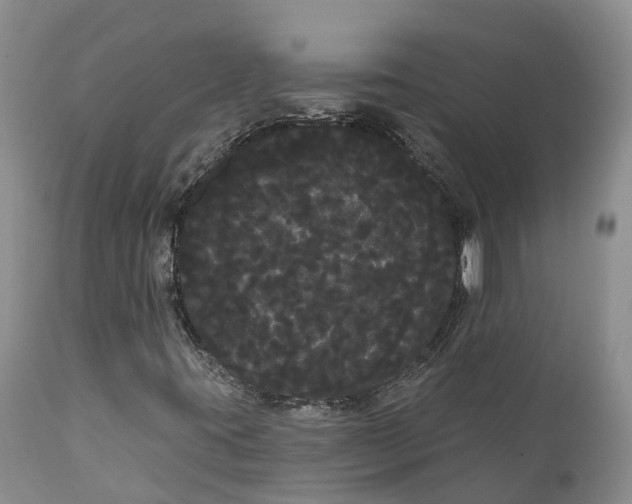 X0000111051395200907091622