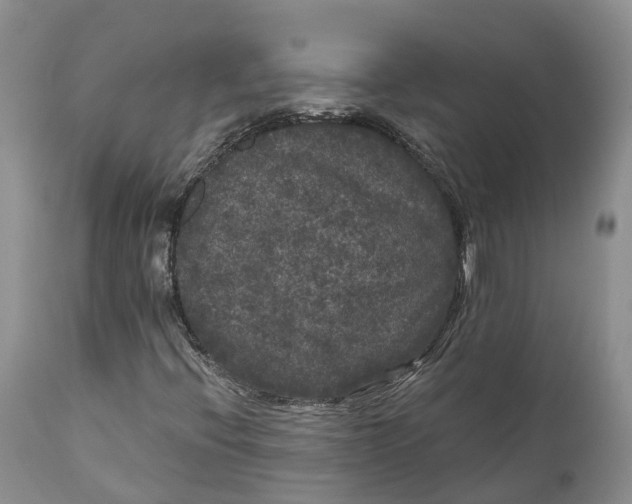 X0000111051396200907091622