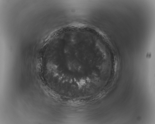 X0000111051397200907091622