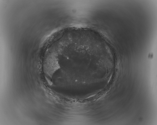 X0000111051398200907091622