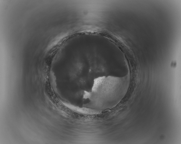 X0000111051399200907091622