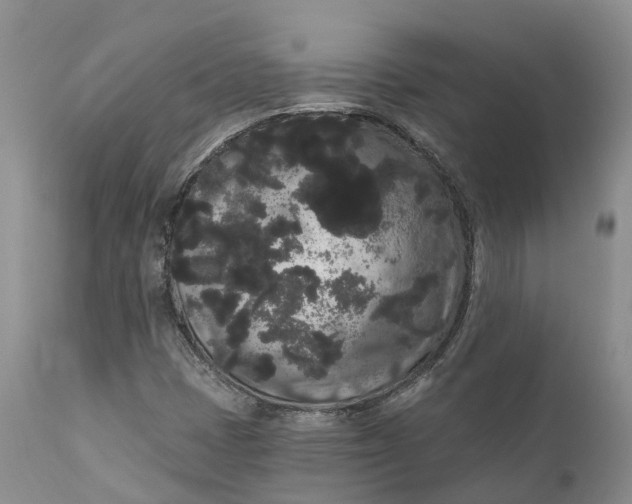 X0000111051401200907091622