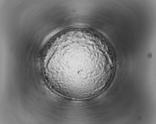 X0000111051402200907091622