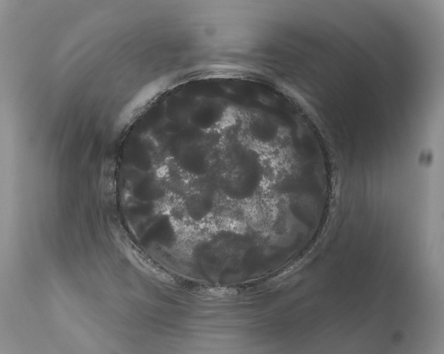 X0000111051403200907091622