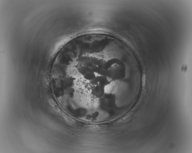 X0000111051405200907091622