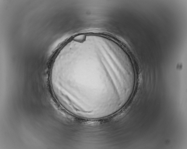 X0000111051406200907091622