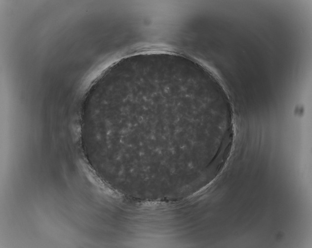 X0000111051407200907091622