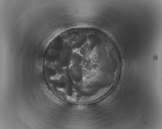 X0000111051409200907091622